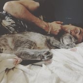 https://www.tumblr.com/flatsound/55065517289