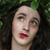 Sycamore Cover