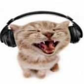 Avatar for mmmmonse