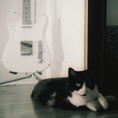 blackcat1980 的头像