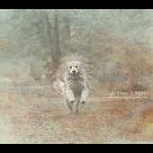 Kim the Lion