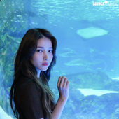 sojungceo 的头像