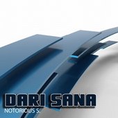 Notorious S - Single