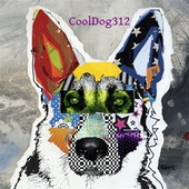 Awatar dla CoolDog312