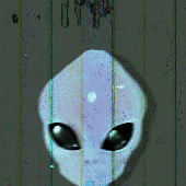 Avatar for thenitwit