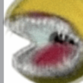 scungoid 的头像