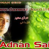 adnan-said