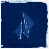 Cyanotype