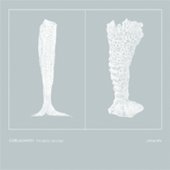 The Glass Sponge