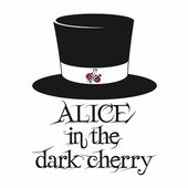 DARK RABBIT 〜愛しい君へ - Single