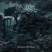 Shadow of Cedars