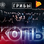 Грибы - Копы Google Play 2016