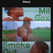 MilGox さんのアバター