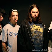 Alegion 2011