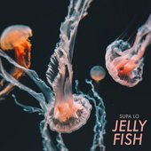 Jelly Fish