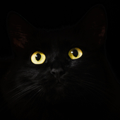 Avatar for djaeeonnaa