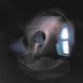 Mirror World - Single