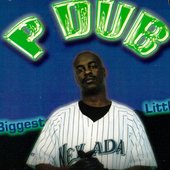 P Dub - The Biggest Little City Front