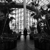 Prudence (Darkwave)