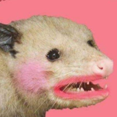 Mirjuaana 的头像