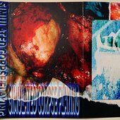 Cover.jpg