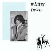winter fawn
