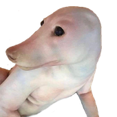 Avatar for monke777
