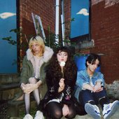 The Velveteers