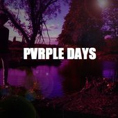 Purple Hex.jpeg