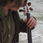 Чайка на крижині