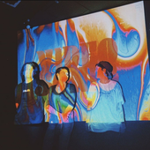VideoSonic