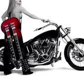 Avatar for sdmf022