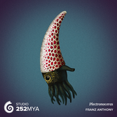 Plectronoceras 的头像