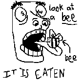 eating a bee