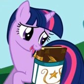 book horse