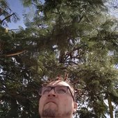 Looking To The Heavens