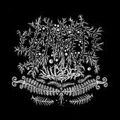 Sword Ferns