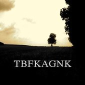 TBFKAGNK