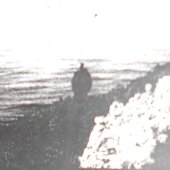 3540369389_photo.jpg