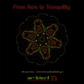 From Here to Tranquility, Vol. 11