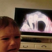 cultjoji 的头像