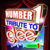Number 1 Tribute To Glee - Season 1