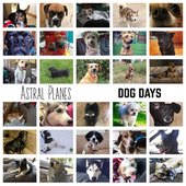 Dog Days
