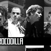 Crocodilla