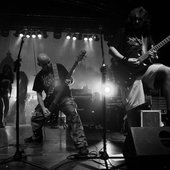 BlackSnake live