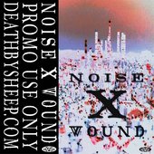 NoiseWound