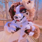 AMB3R Profile Pic