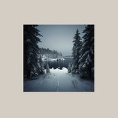 Northern Michigan Snowstorms
