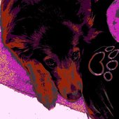 girldog.jpeg