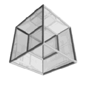 Datripper için avatar